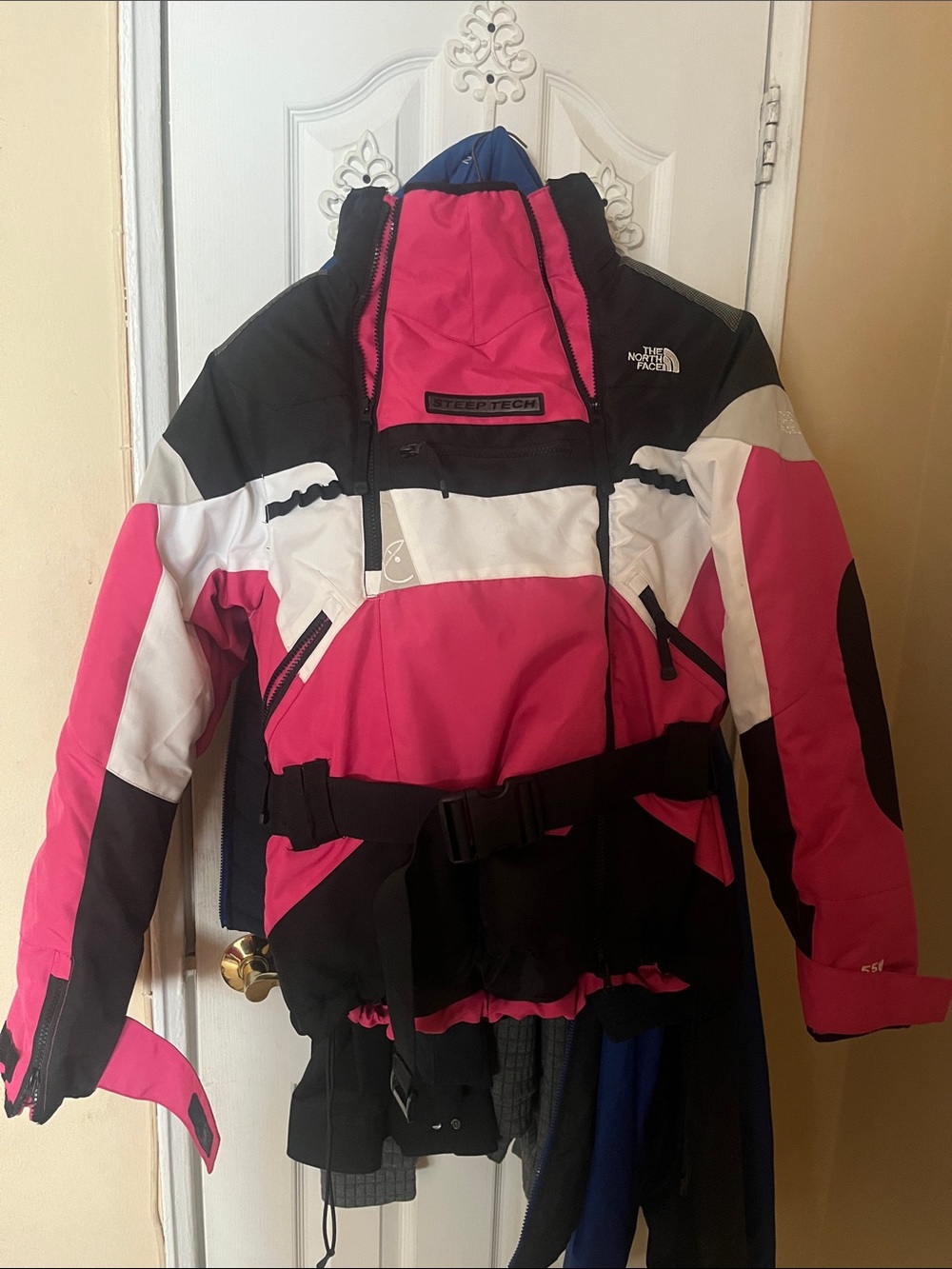 NWOT The North Face Women’s Steep Tech 550 Insulated Winter Jacket